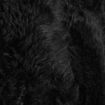Black fur texture